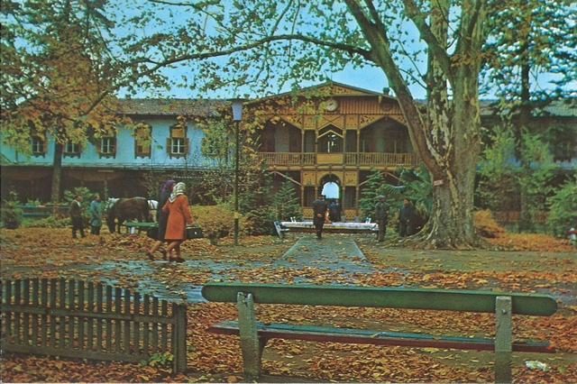2061-3 - Băile Buziaș